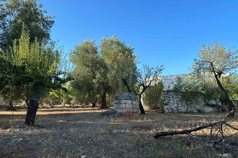 Ruïna a Ostuni, Brindisi, Ostuni - € 43.000 | Ref: Lamia Vite - foto 11